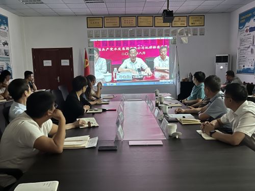 【河海水文】水發(fā)水控集團黨委委員、紀委書記王高升到河海公司全面從嚴治黨、黨風廉政建設(shè)專題調(diào)研 (1).jpg